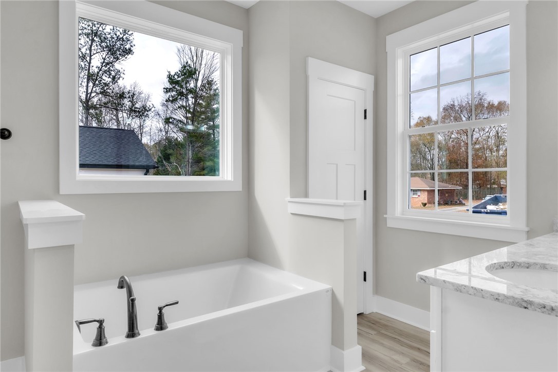 121 Ashley Drive Pelzer, SC 29669 - Photo 14 of 25 Full bathroom with vanity, a bath, plenty of natural light, and light wood-type flooring