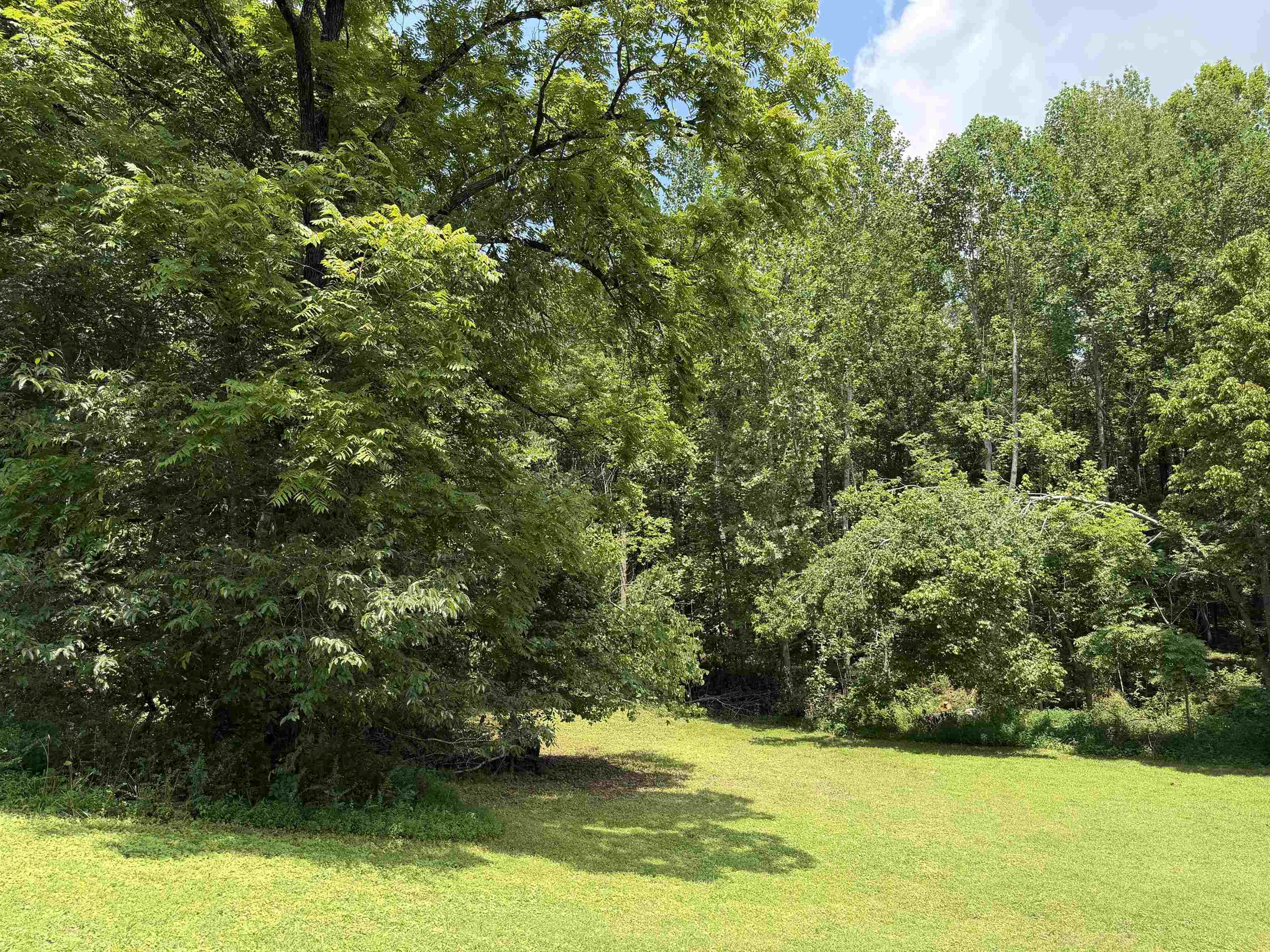 185 Poplar Springs Road Savannah, TN 38372 - Photo 39 of 40