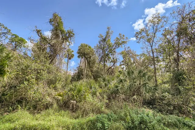 a view of a back yard