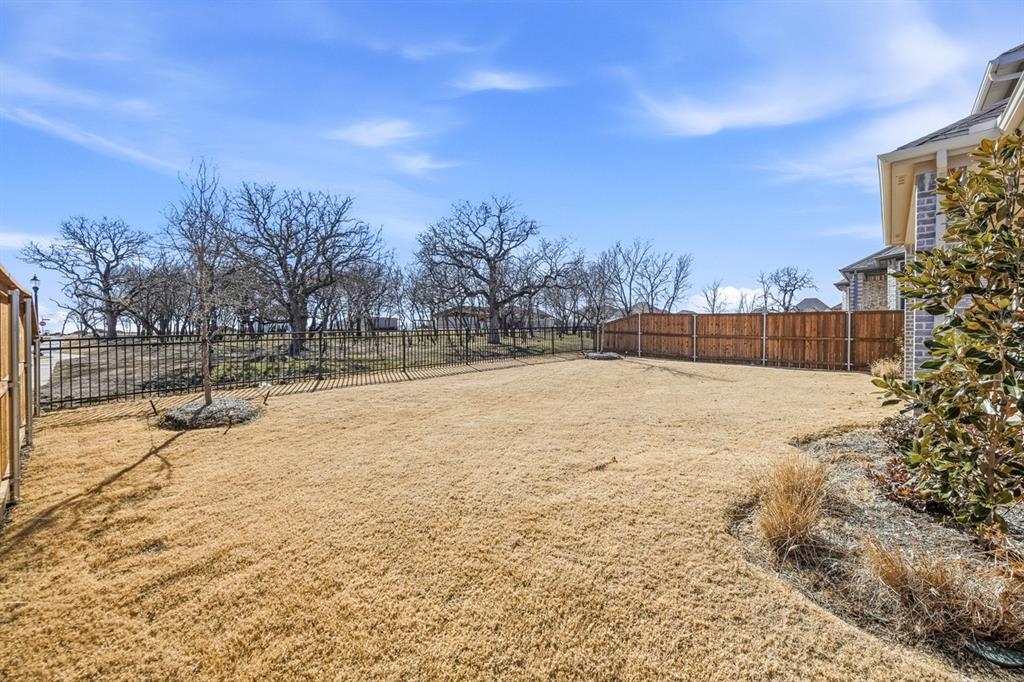 9022 Wildberry Road Oak Point, TX 75068 - Photo 28 of 38 Backyard