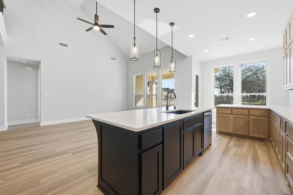 9022 Wildberry Road Oak Point, TX 75068 - Photo 5 of 38