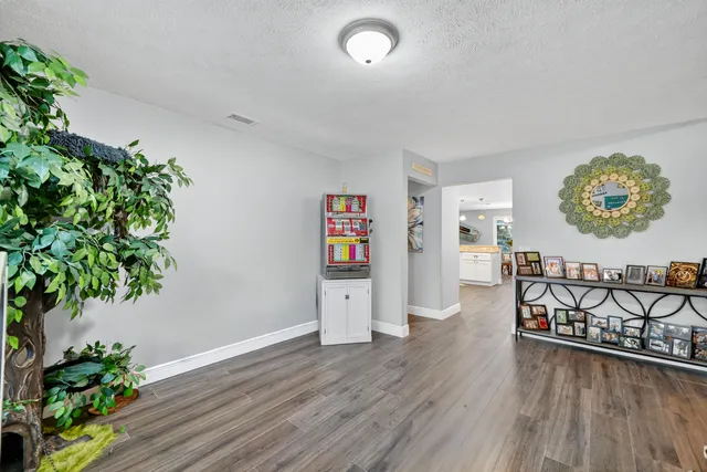 a view of a hallway with wooden floor and a potted plant