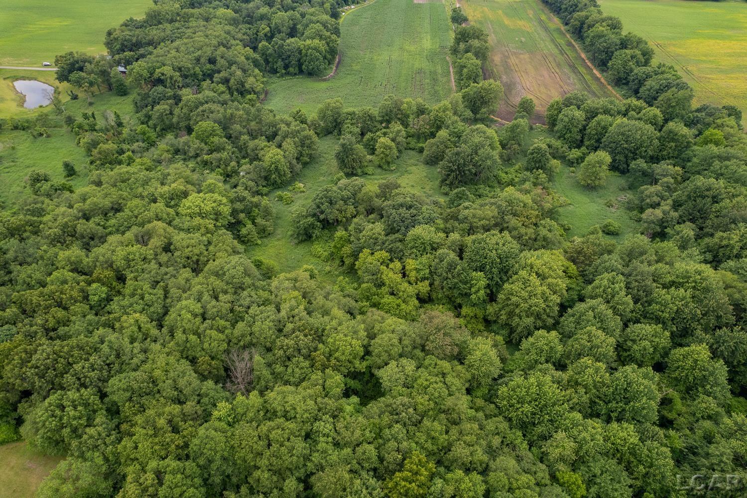 2010 South Kane Road Stockbridge, MI 49285 - Photo 65 of 80