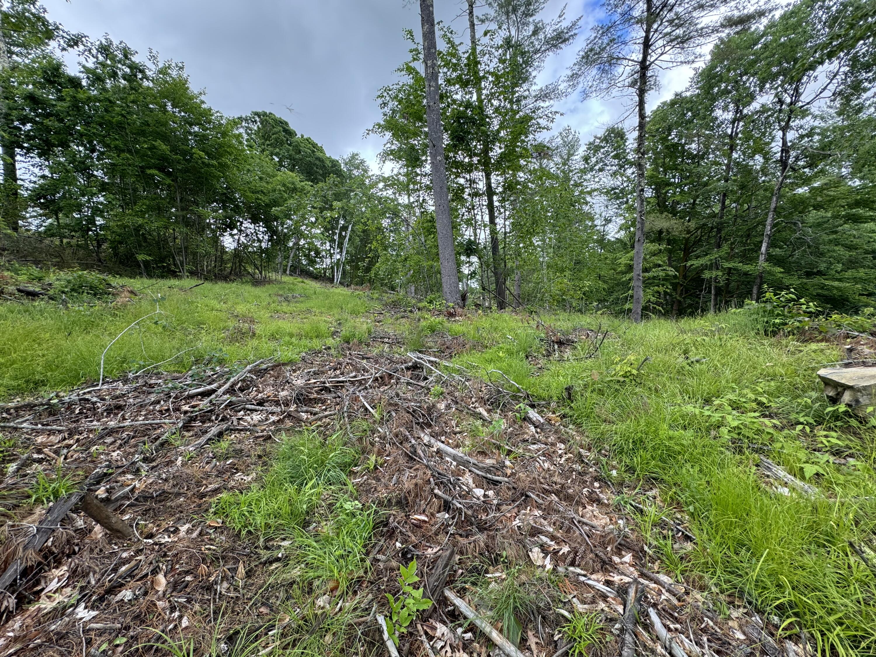 Mr-2-l53a Cape Road Limington, ME 04049 - Photo 3 of 5 IMG_1543