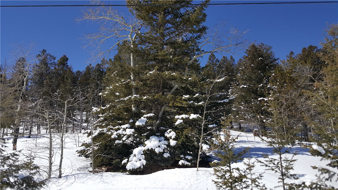Lot 499 Redhill Road Fairplay, CO 80440 - Photo 6 of 32 Gallery Image 6