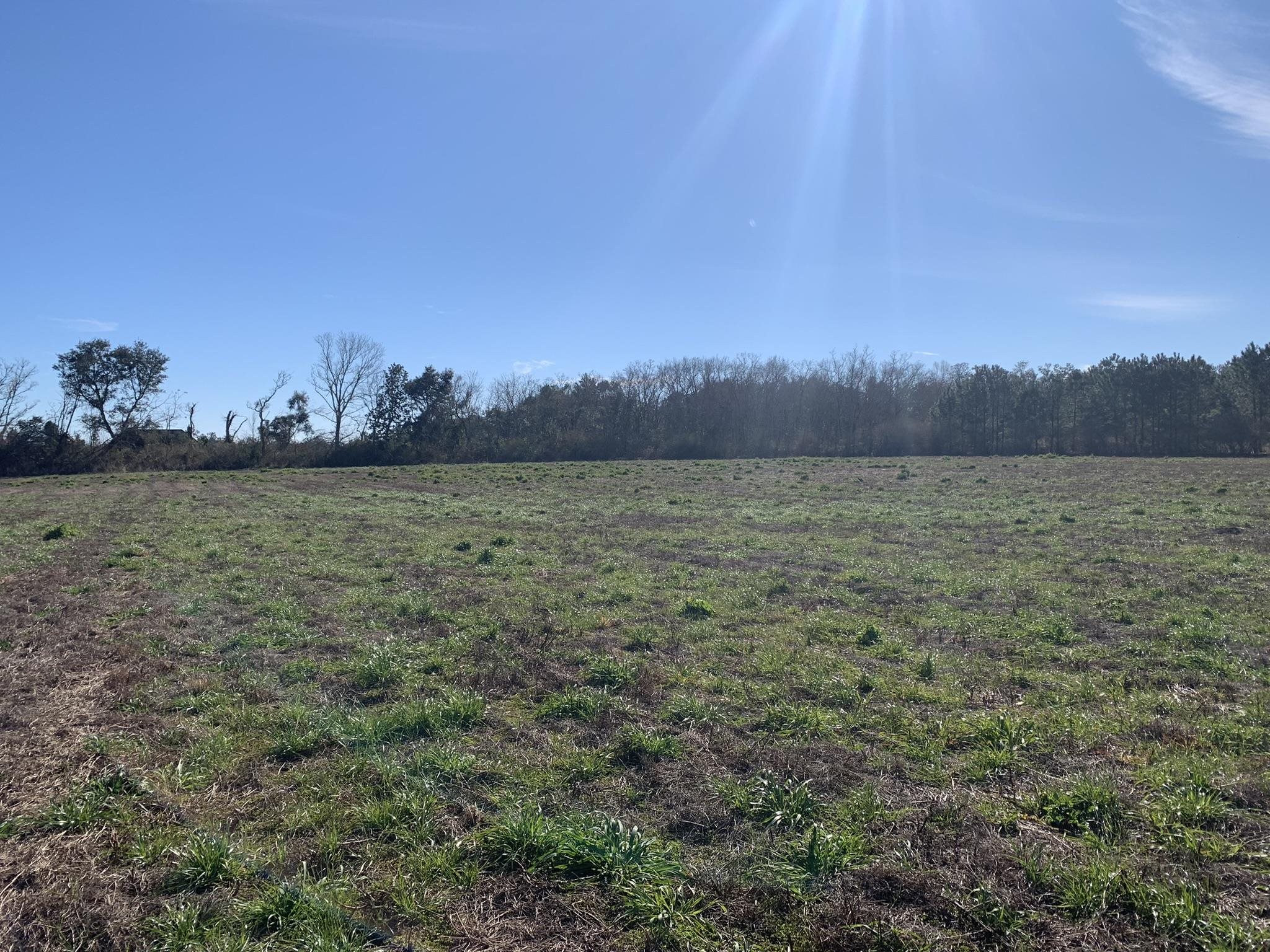 Lot 5 Wilson Road Elberta, AL 36530 - Photo 3 of 6