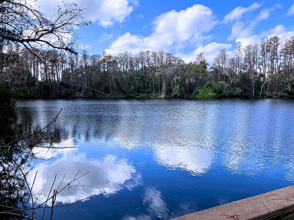 20921 Haulover Cove Road, Unit F14 Lutz, FL 33558 - Photo 11 of 36