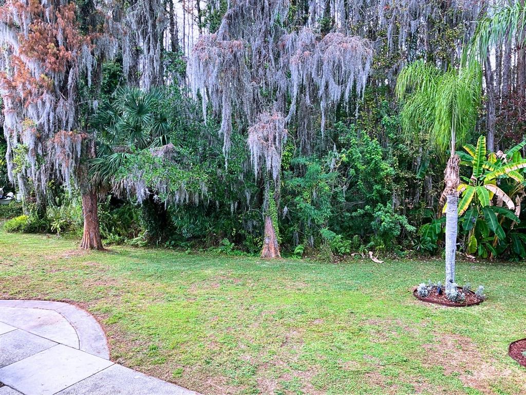 20921 Haulover Cove Road, Unit F14 Lutz, FL 33558 - Photo 7 of 36