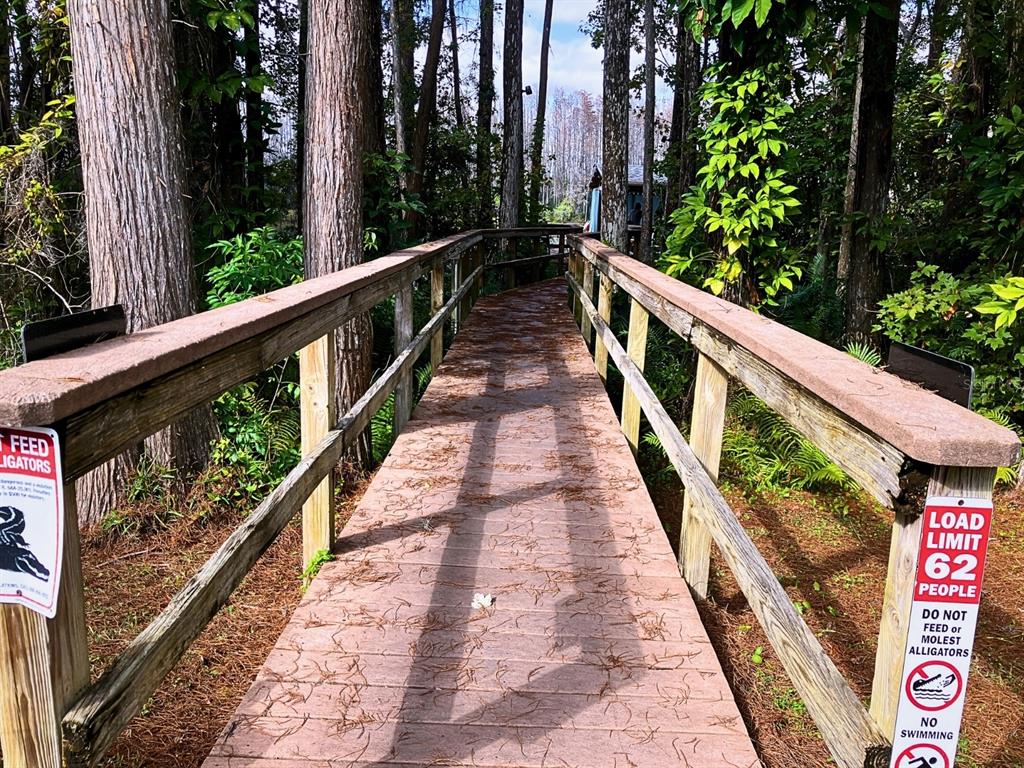 20921 Haulover Cove Road, Unit F14 Lutz, FL 33558 - Photo 9 of 36