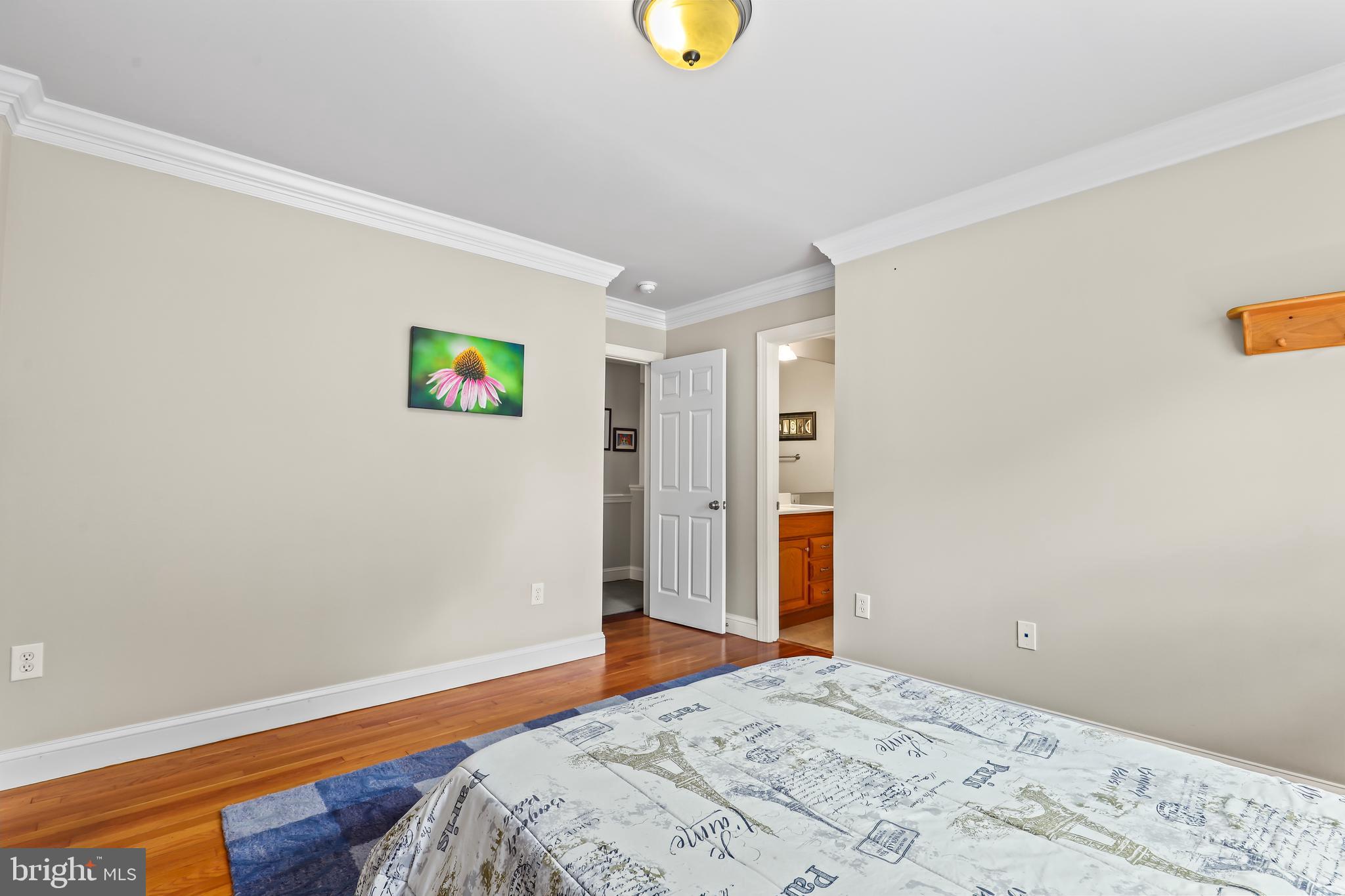 8701 Standish Road Alexandria, VA 22308 - Photo 53 of 82 Gallery Image 53