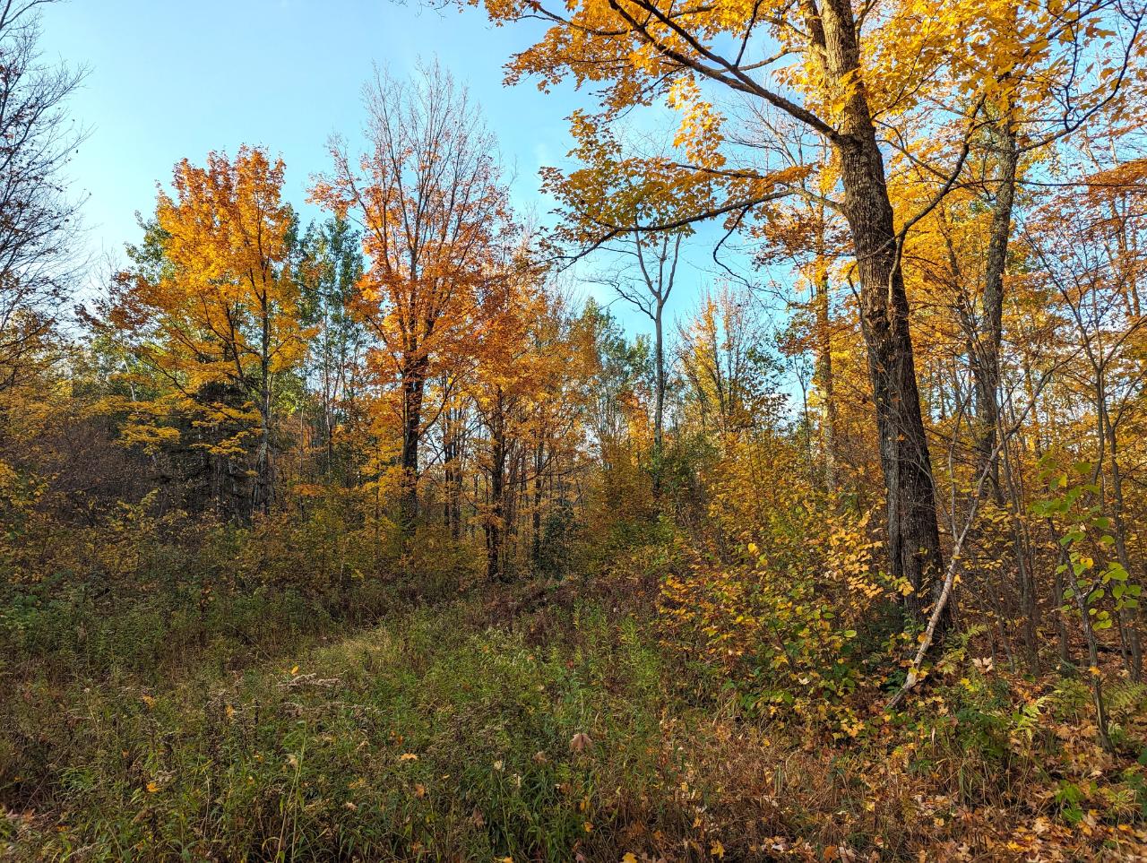 W2509 Trappers Road Brantwood, WI 54513 - Photo 15 of 62 Gallery Image 15