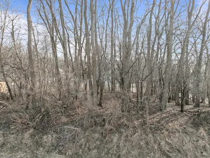 $70,000 | Lt1 Woodland Drive, Geneva, WI 53147