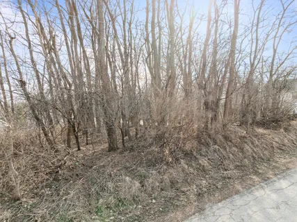 $70,000 | Lt1 Woodland Drive, Geneva, WI 53147