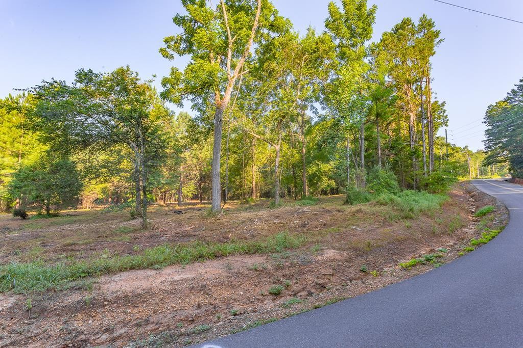 39 Quarles Road Rocky Face, GA 30740 - Photo 7 of 8