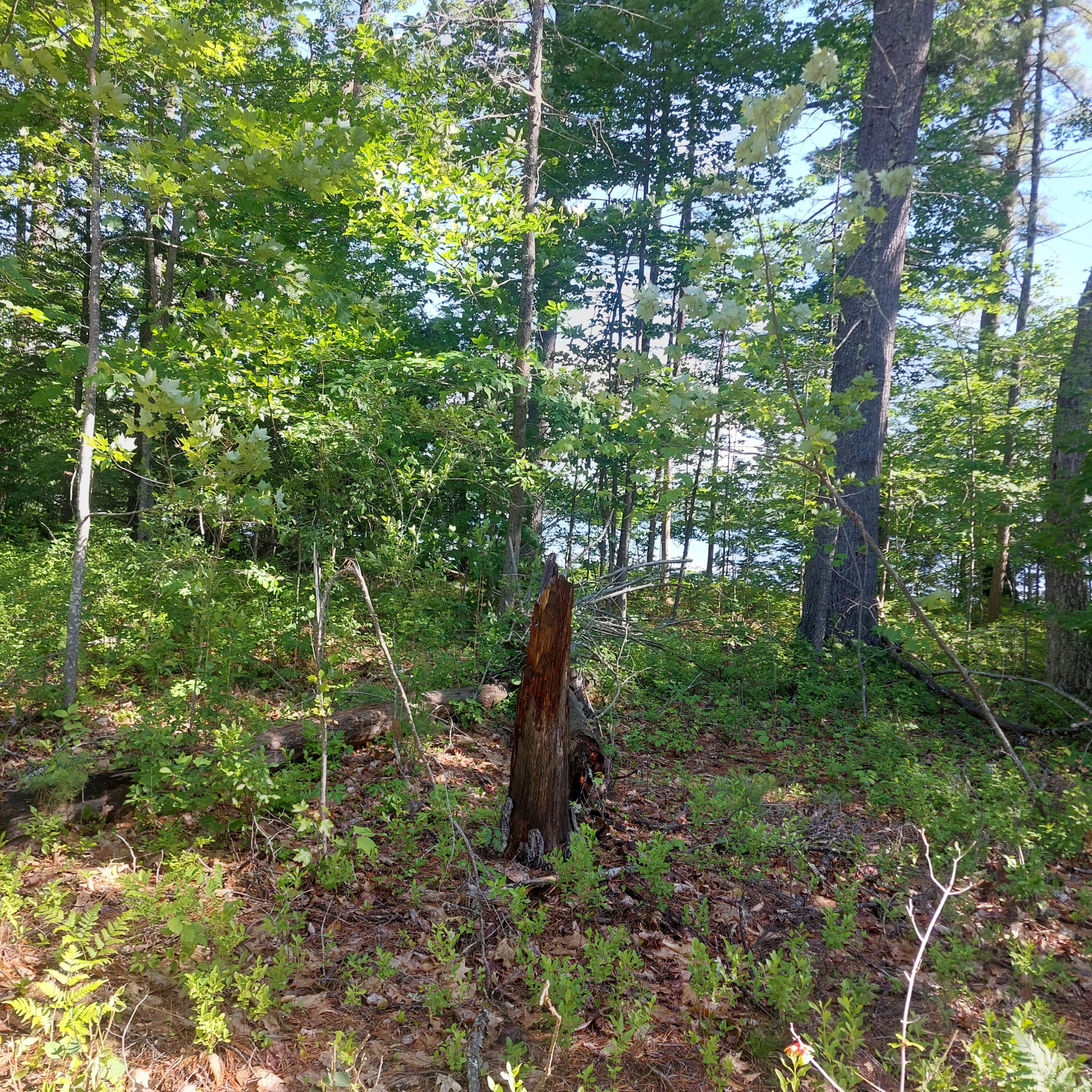 Lot 25 Sokokis Road Sebago, ME 04029 - Photo 23 of 29 pin2