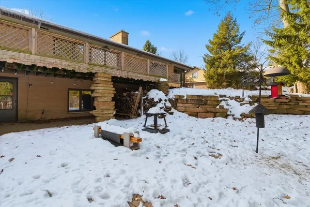 a view of a backyard with trees