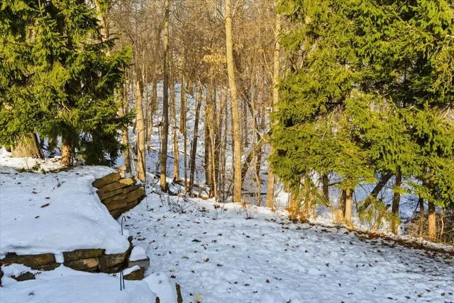 a view of a backyard of the house
