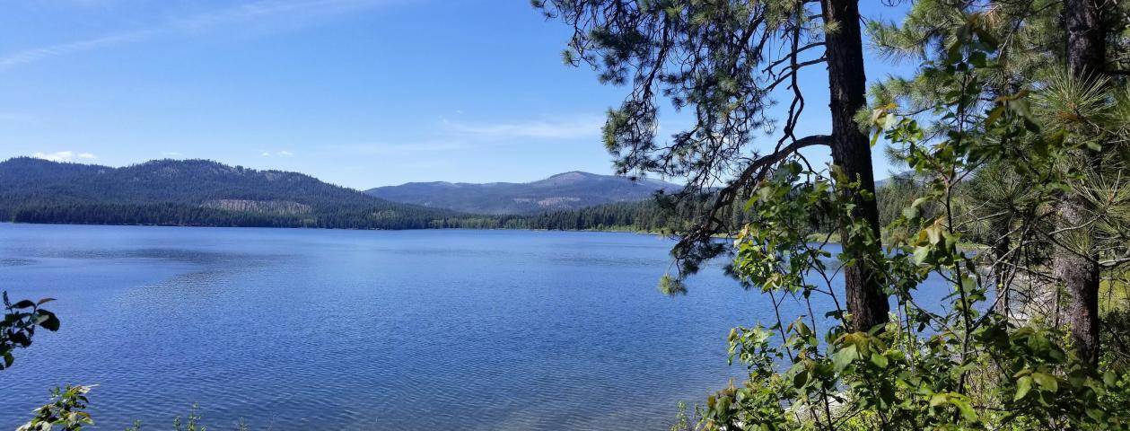 178 Twin Lakes Road, Unit 92 Inchelium, WA 99138 - Photo 9 of 11 Gallery Image 9