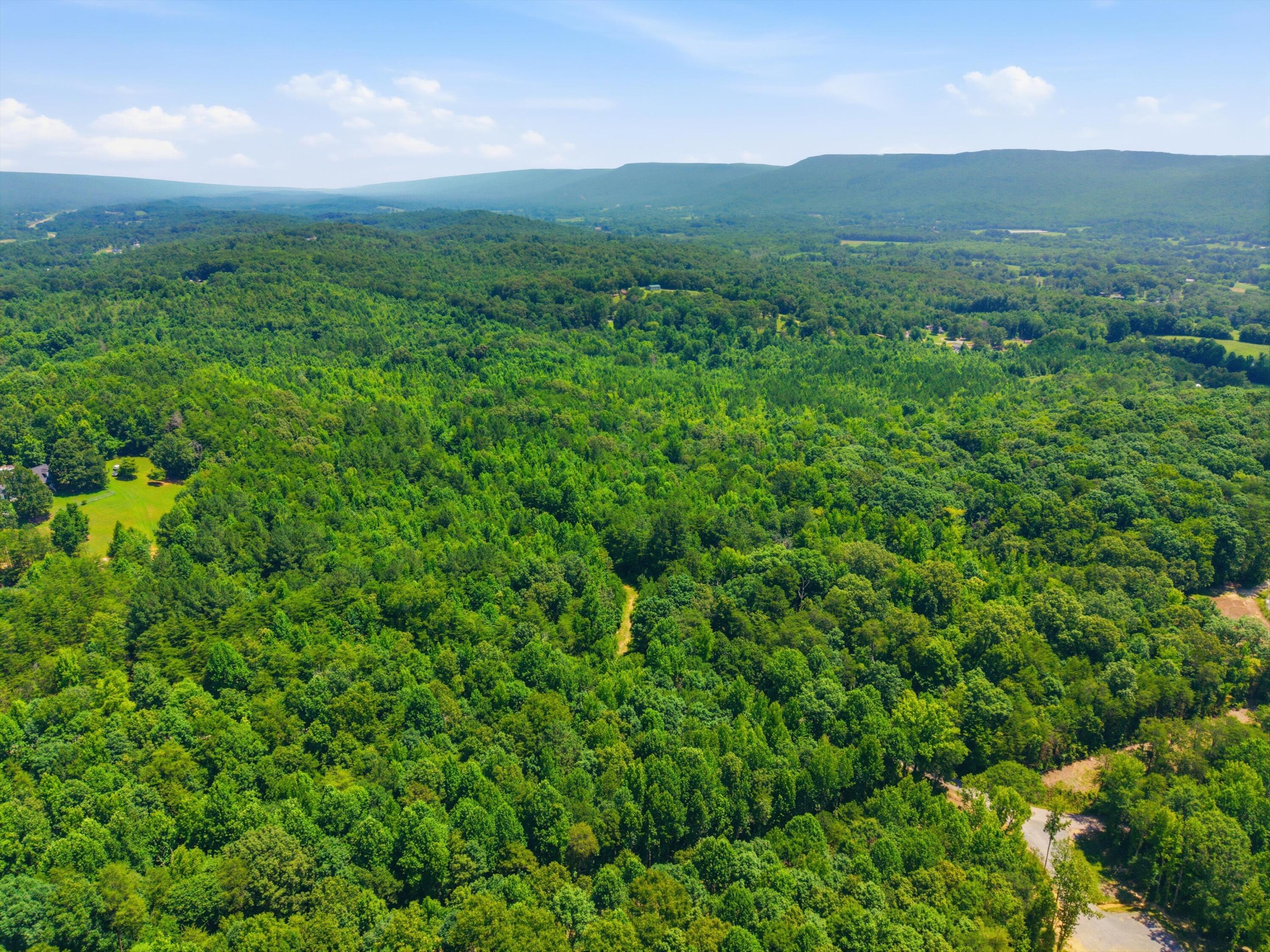 0 West Francis Spring Road Whitwell, TN 37397 - Photo 20 of 23 19-FrancisSpringRd-17