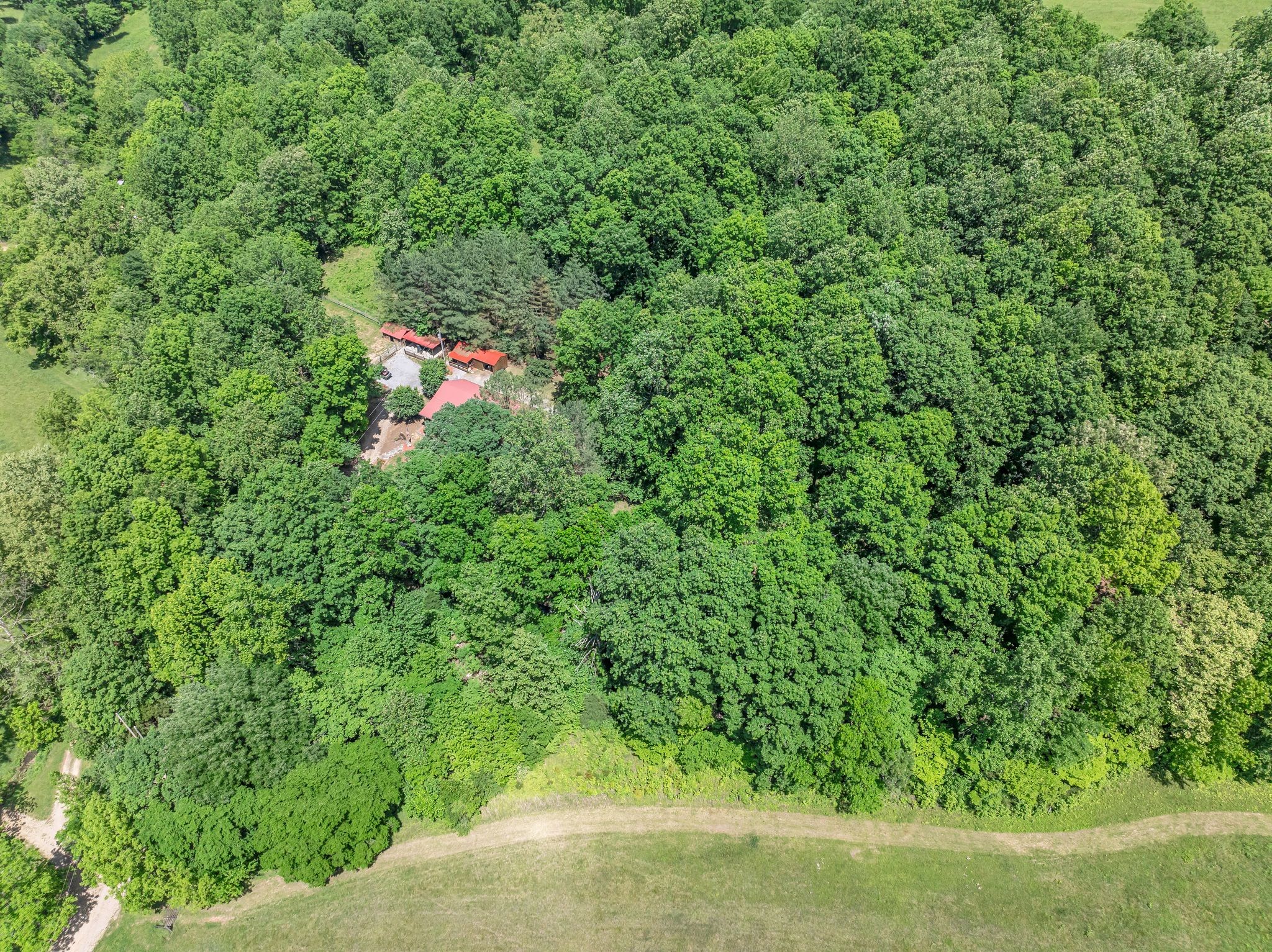 2870 Maple Grove Road Dickson, TN 37055 - Photo 41 of 53