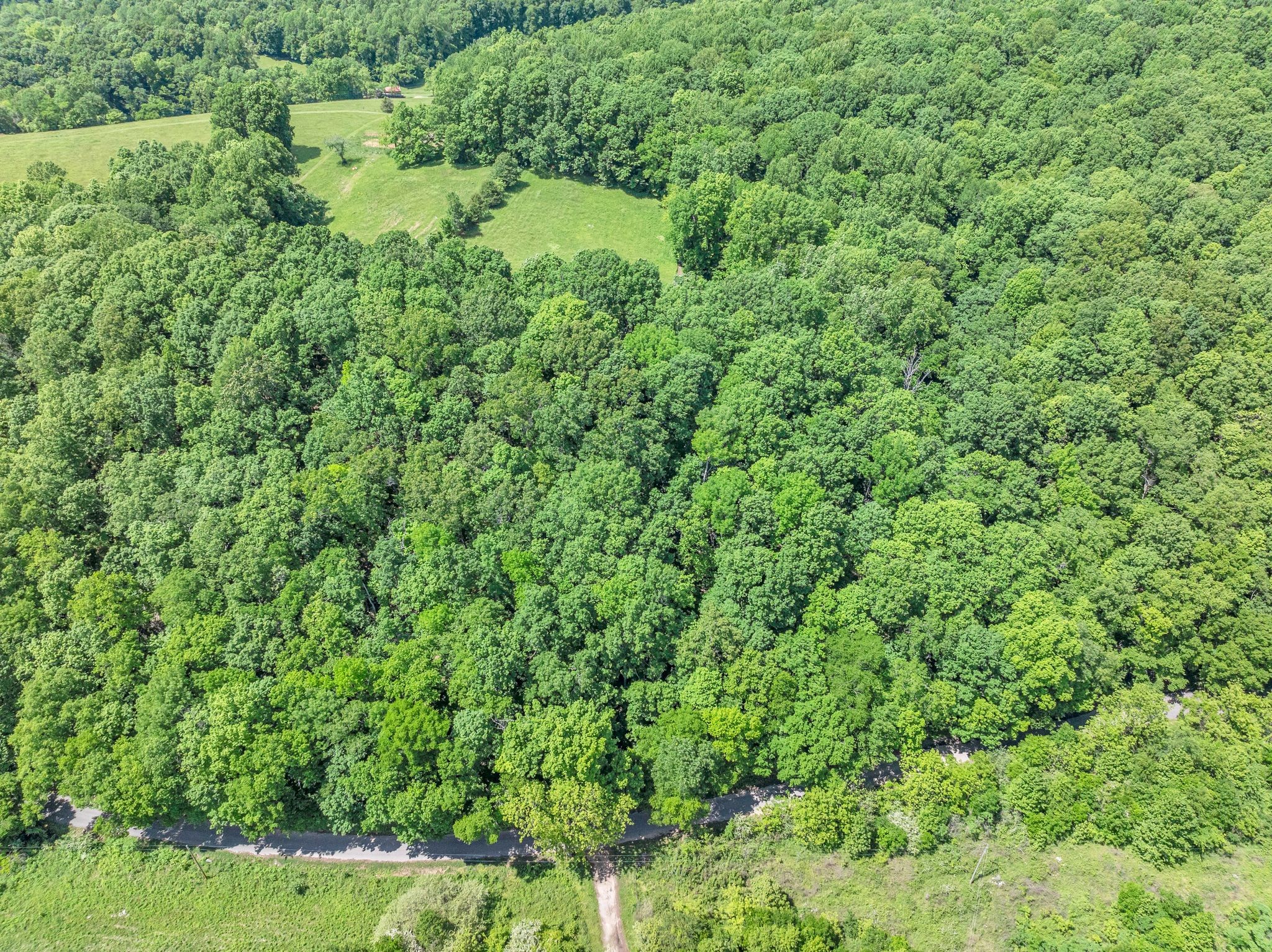 2870 Maple Grove Road Dickson, TN 37055 - Photo 46 of 53
