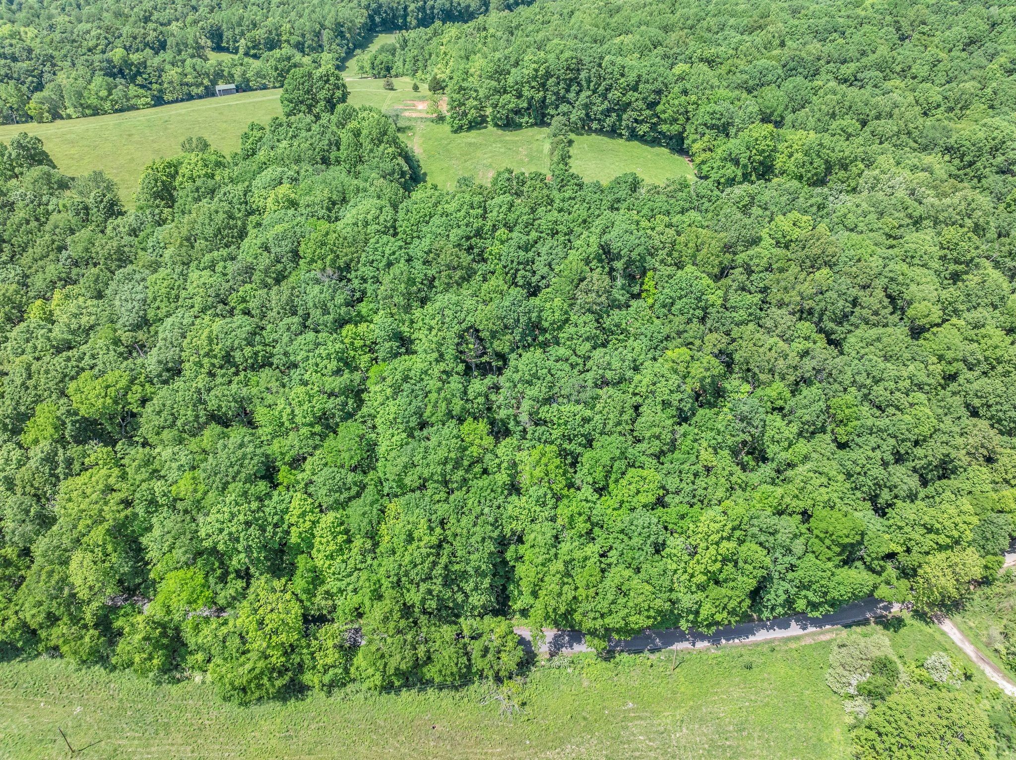 2870 Maple Grove Road Dickson, TN 37055 - Photo 47 of 53