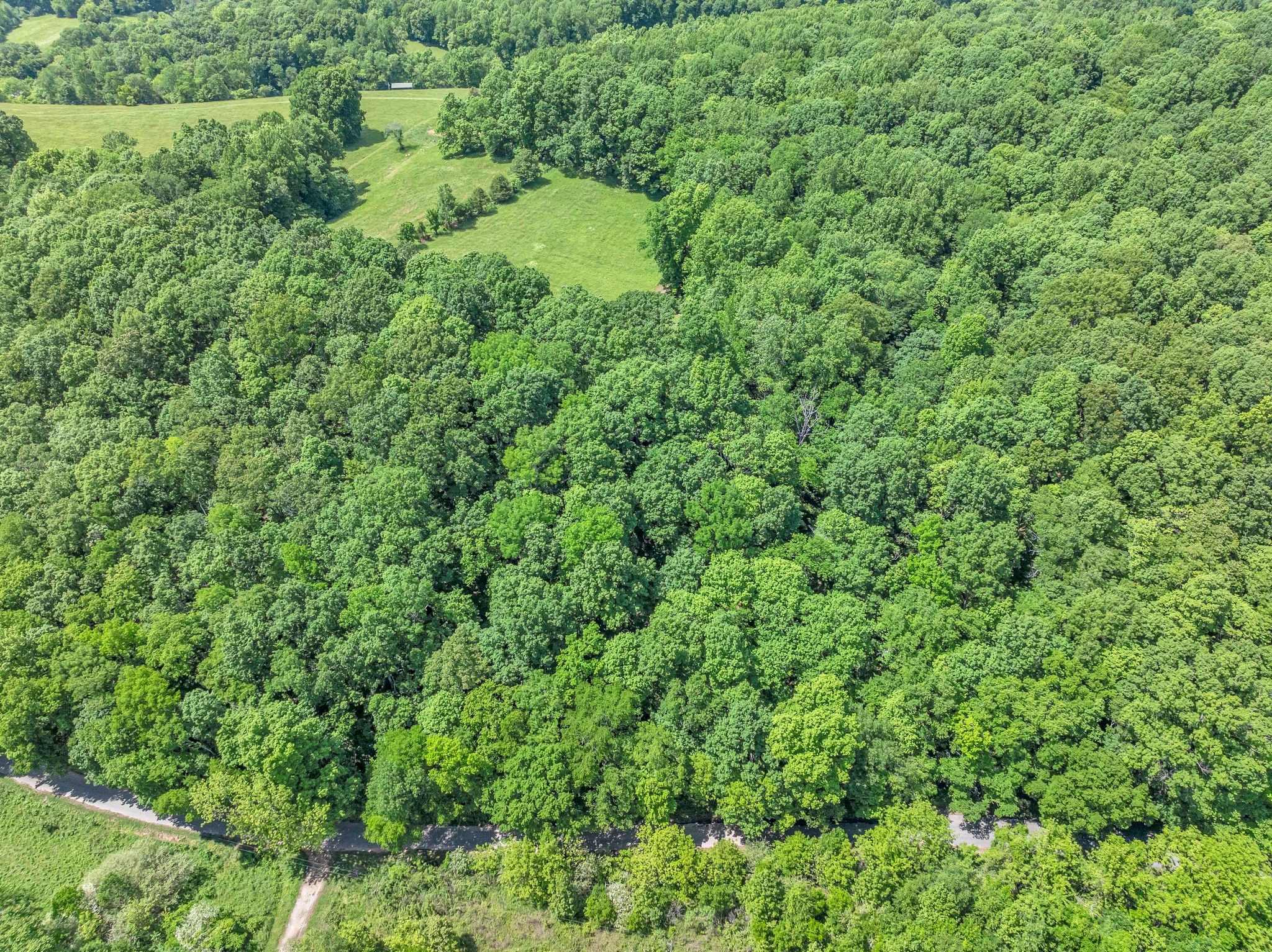 2870 Maple Grove Road Dickson, TN 37055 - Photo 48 of 53