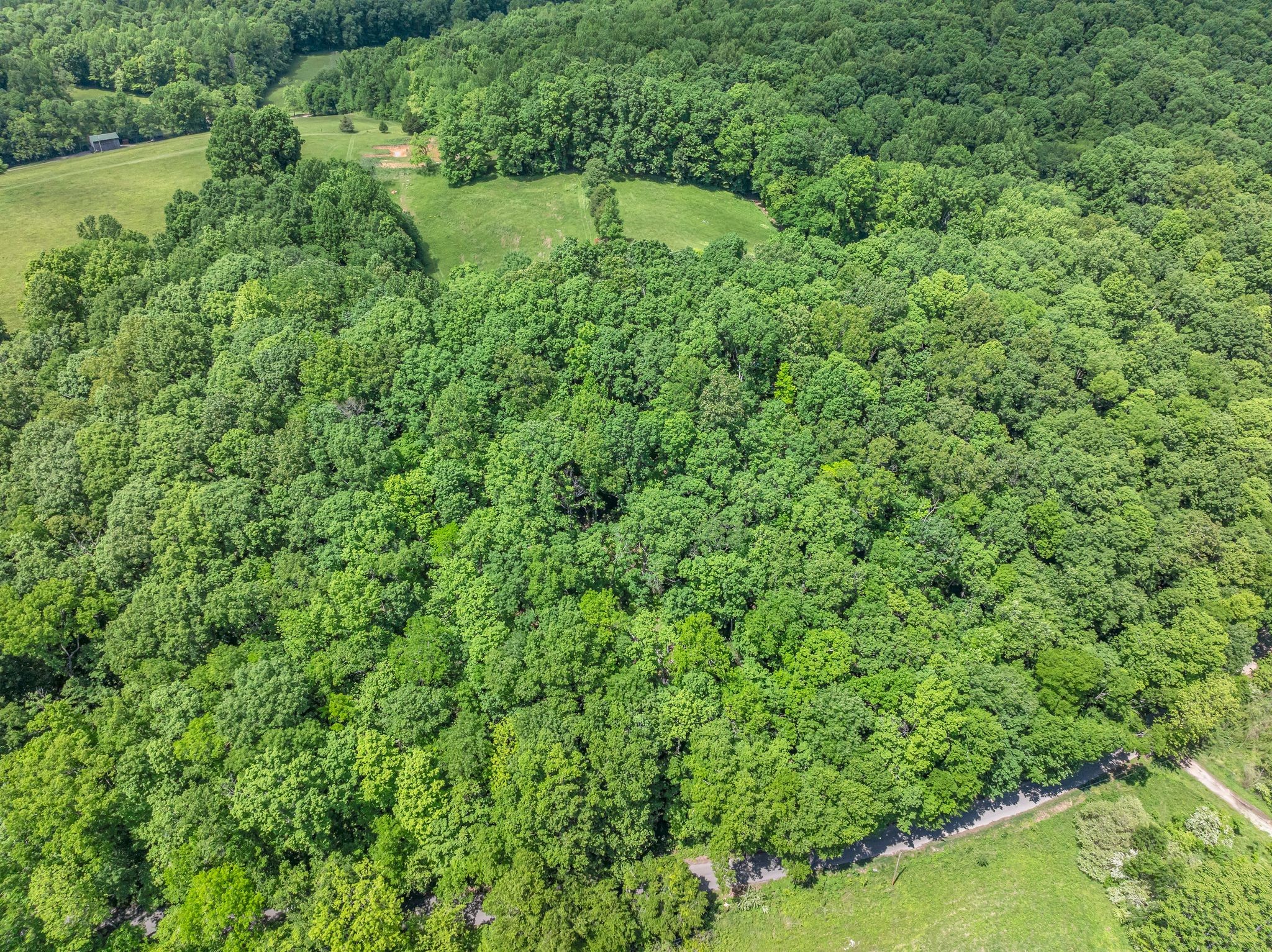 2870 Maple Grove Road Dickson, TN 37055 - Photo 49 of 53