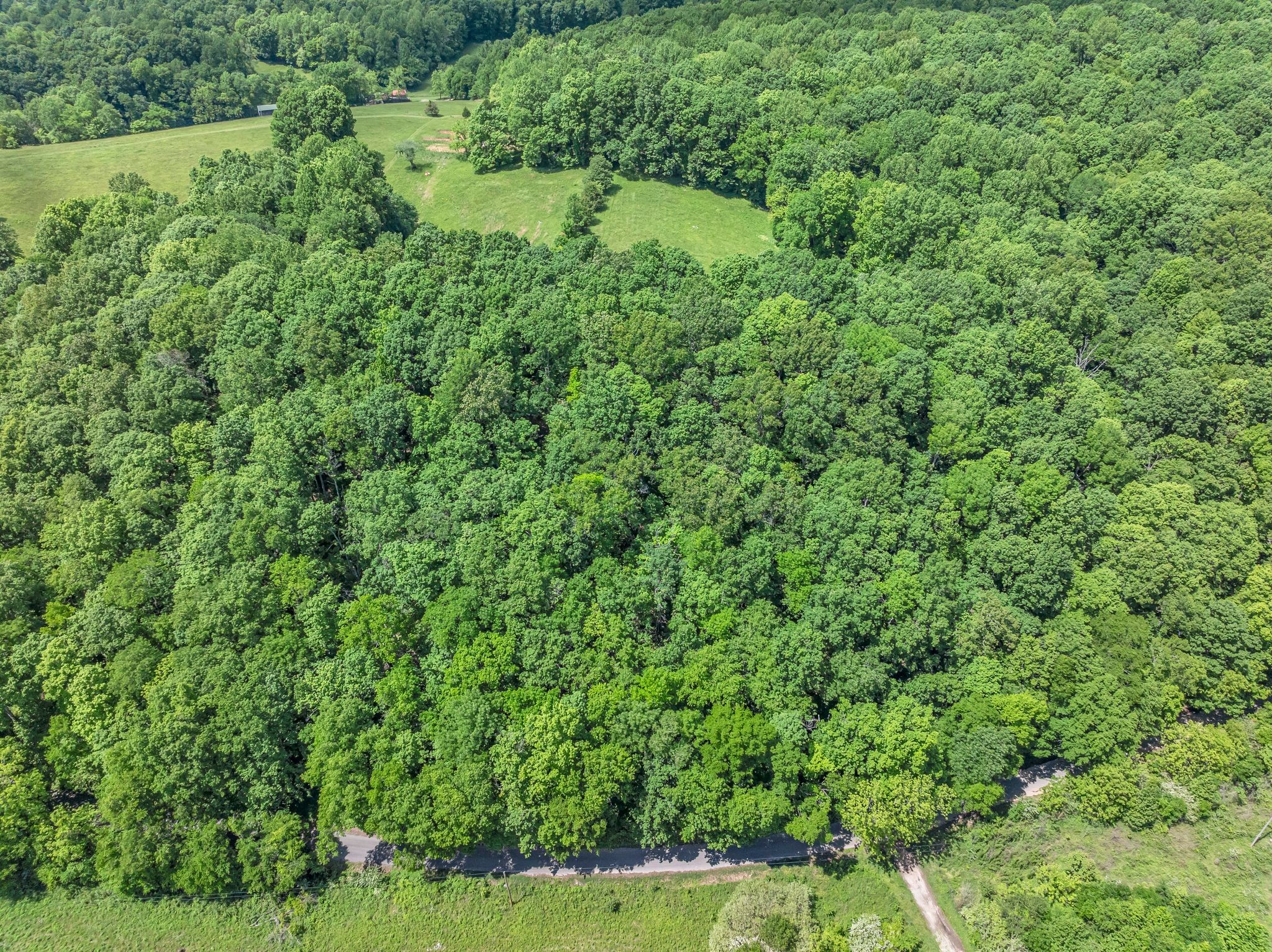 2870 Maple Grove Road Dickson, TN 37055 - Photo 50 of 53