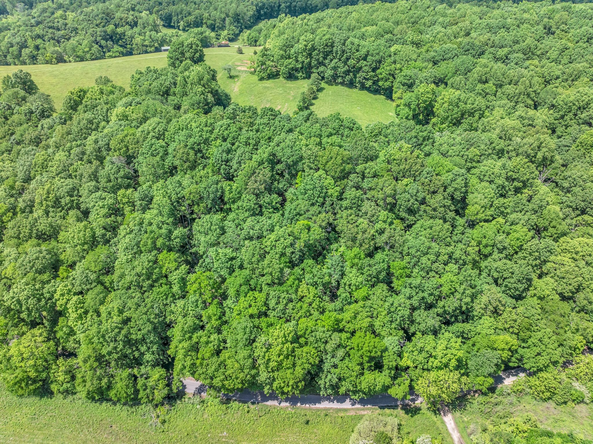 2870 Maple Grove Road Dickson, TN 37055 - Photo 51 of 53