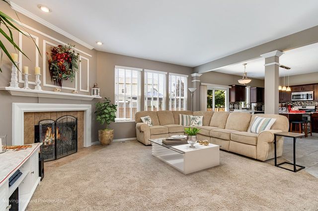 103 South Cranberry Street Bolingbrook, IL 60490 - Photo 4 of 33 a living room with furniture and a fireplace