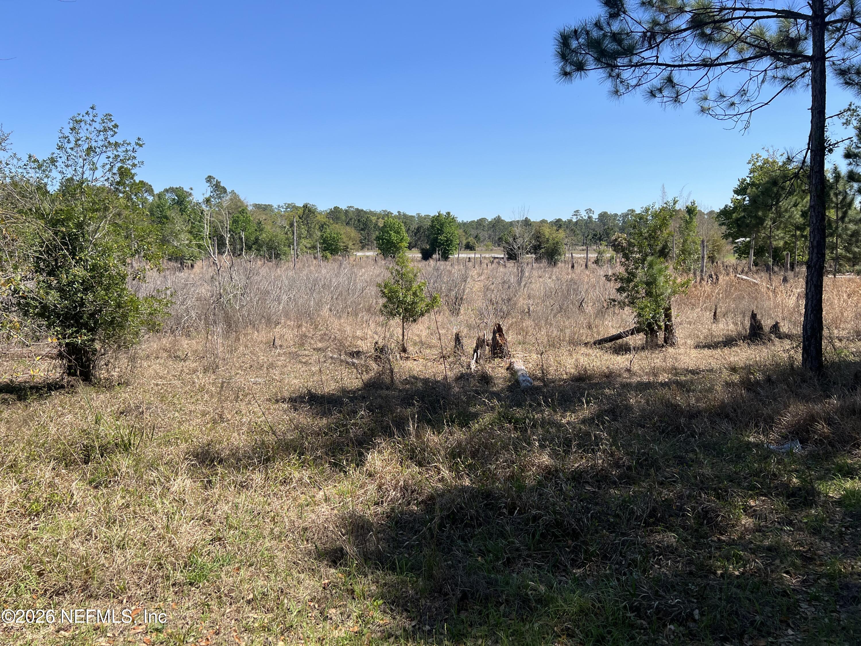 223 Oak Ridge Drive Welaka, FL 32193 - Photo 27 of 38 IMG_6089