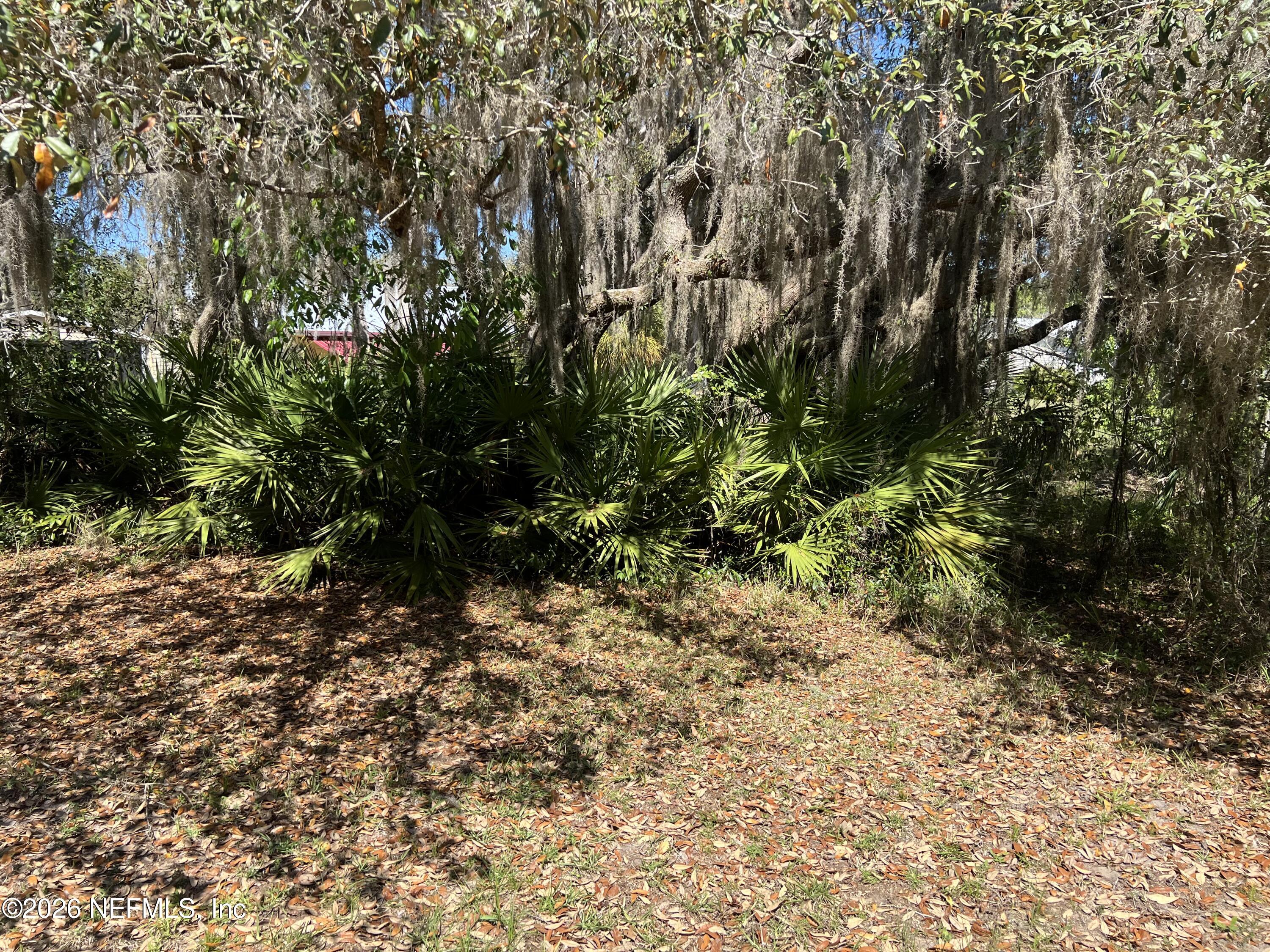 223 Oak Ridge Drive Welaka, FL 32193 - Photo 37 of 38 IMG_6092