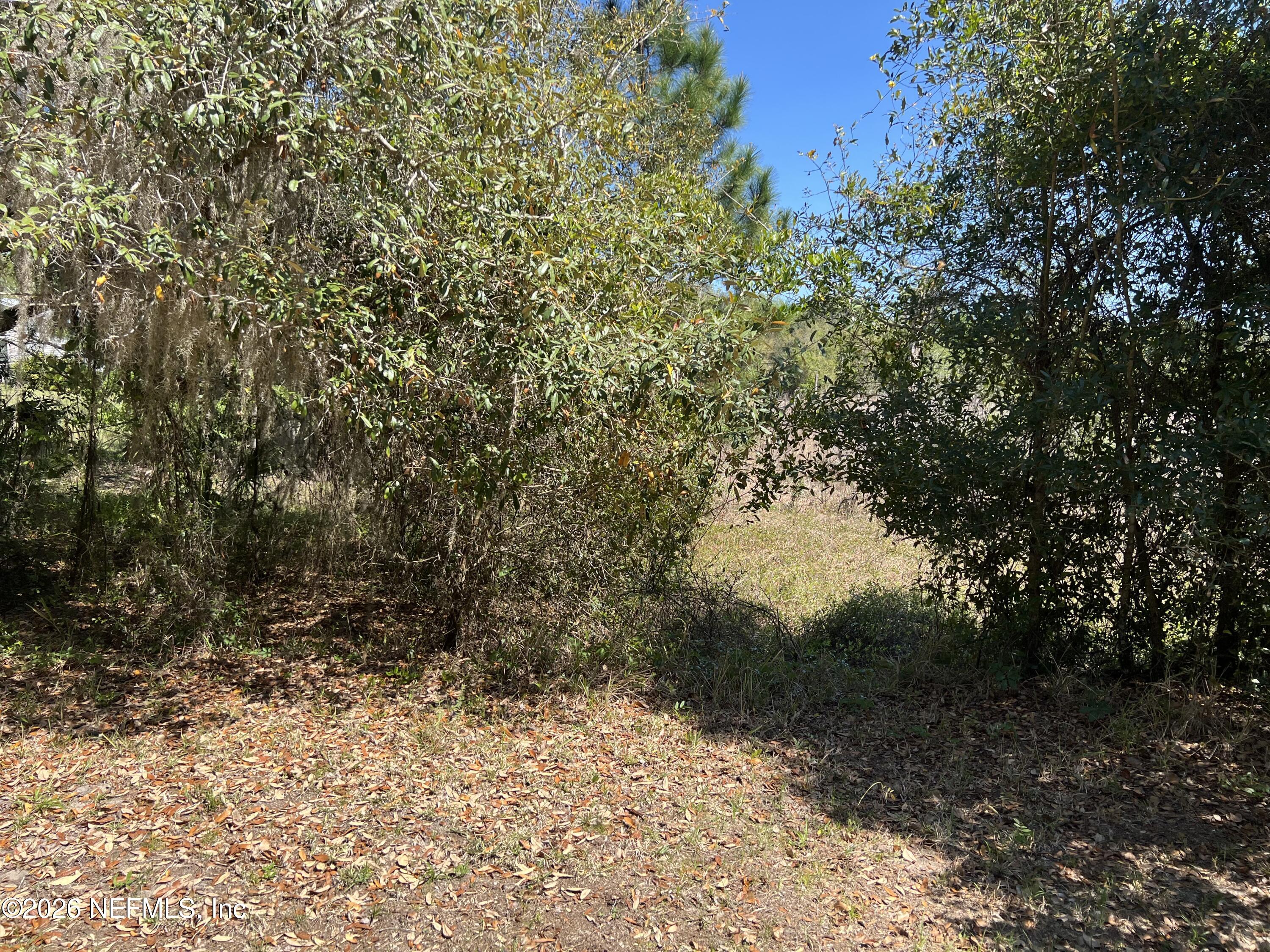 223 Oak Ridge Drive Welaka, FL 32193 - Photo 38 of 38 IMG_6091