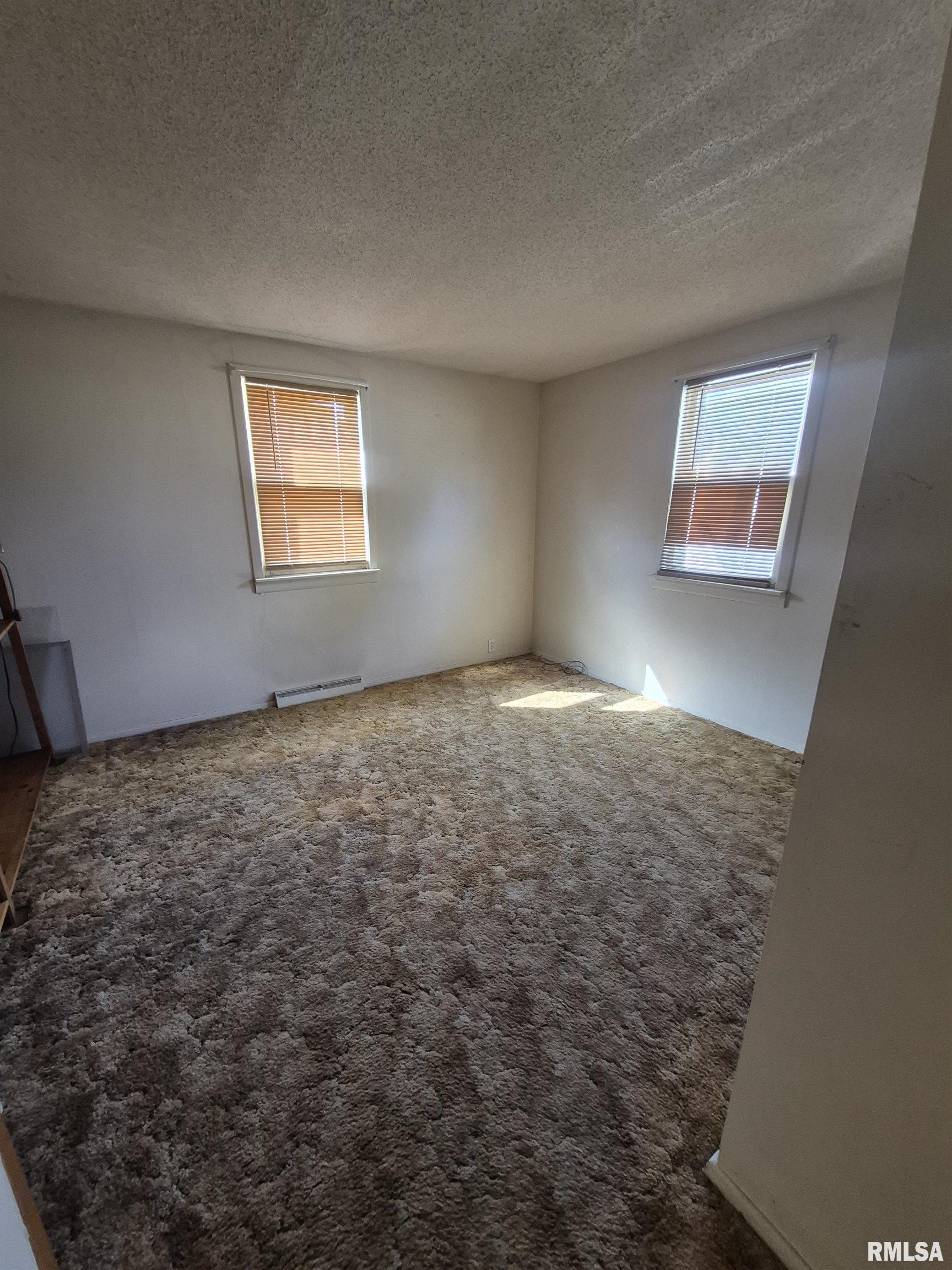 413 East Washington Street Ashland, IL 62612 - Photo 8 of 15