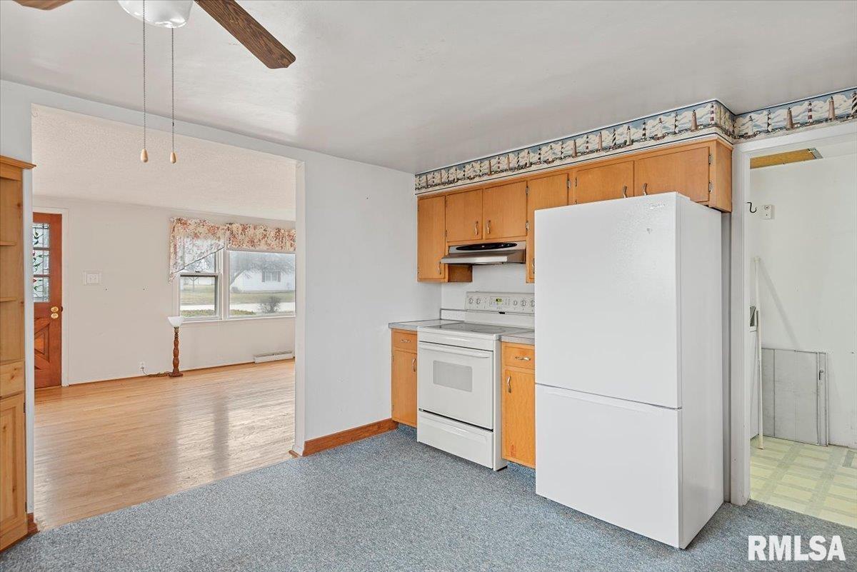 413 East Washington Street Ashland, IL 62612 - Photo 9 of 23