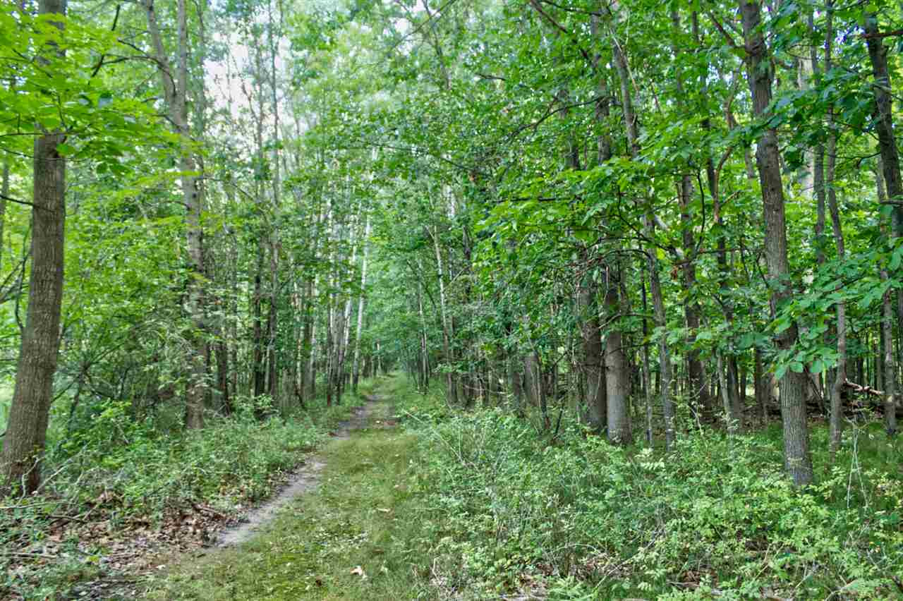 5374 Folks Road Horton, MI 49246 - Photo 29 of 49 Photo 30