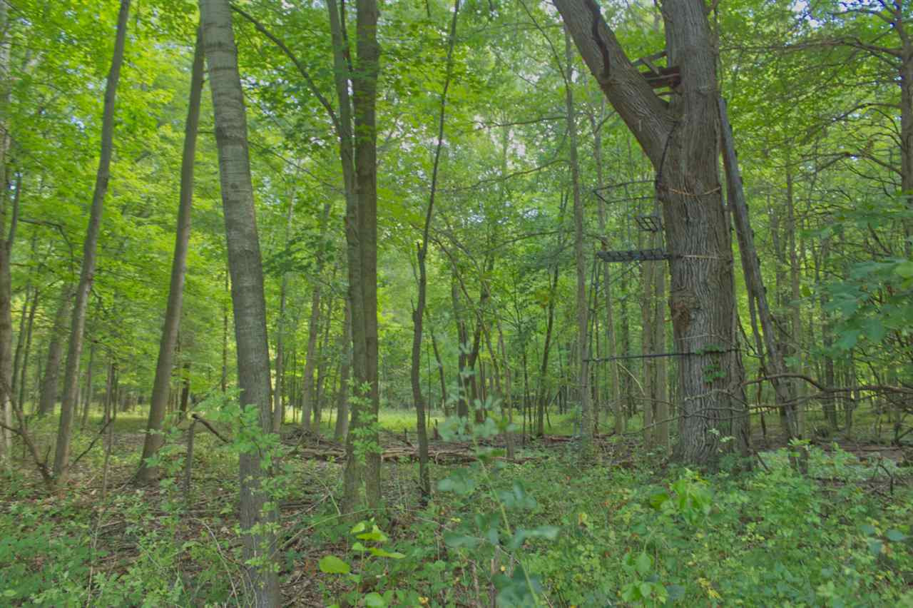 5374 Folks Road Horton, MI 49246 - Photo 30 of 49 Photo 31