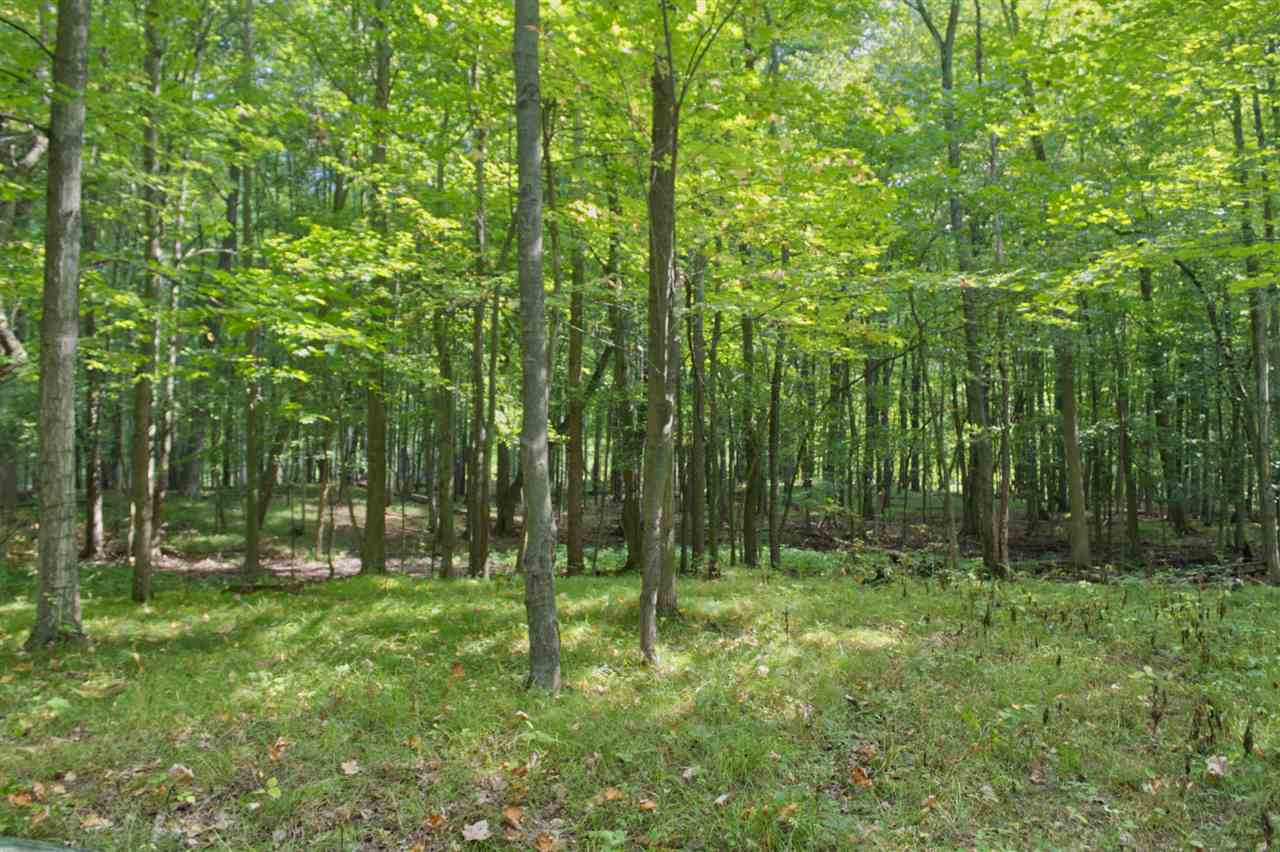 5374 Folks Road Horton, MI 49246 - Photo 32 of 49 Photo 33