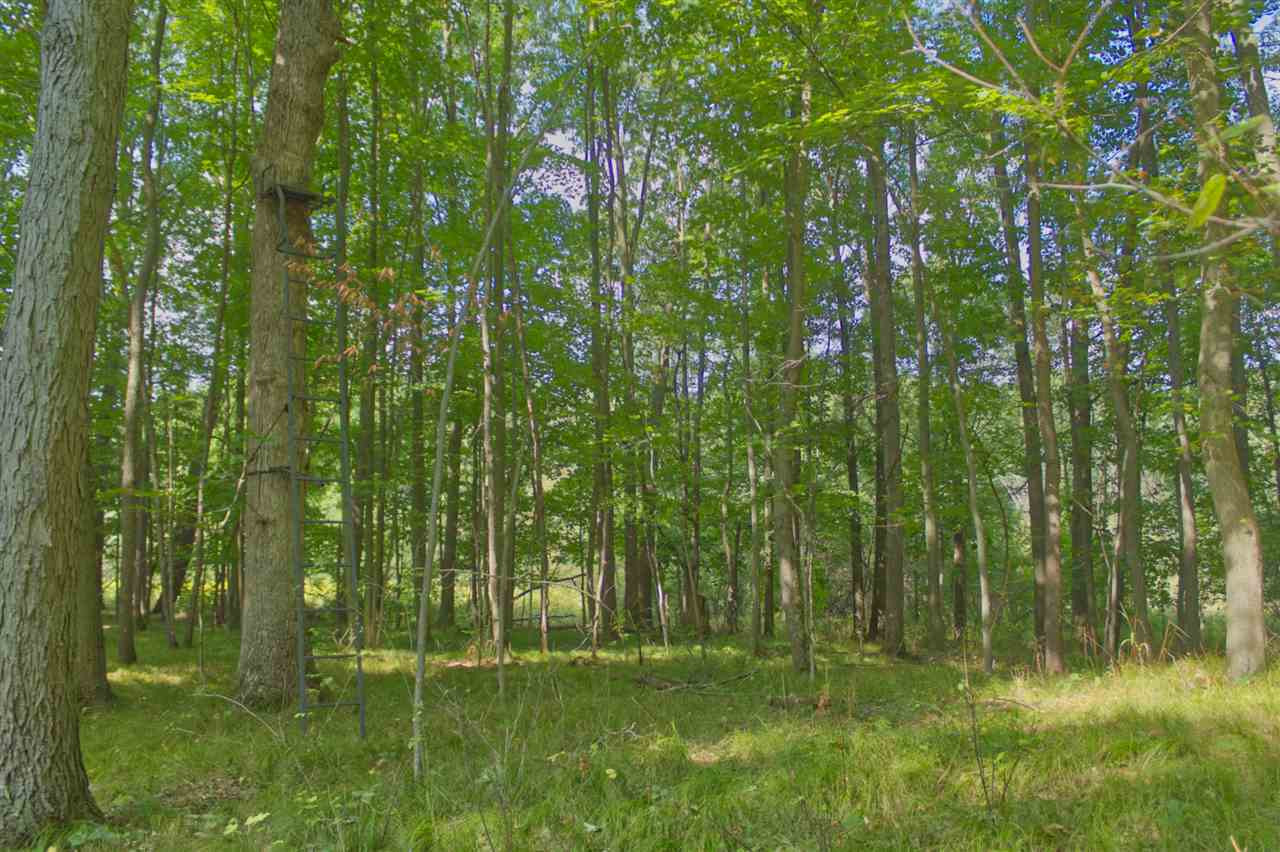 5374 Folks Road Horton, MI 49246 - Photo 34 of 49 Photo 35