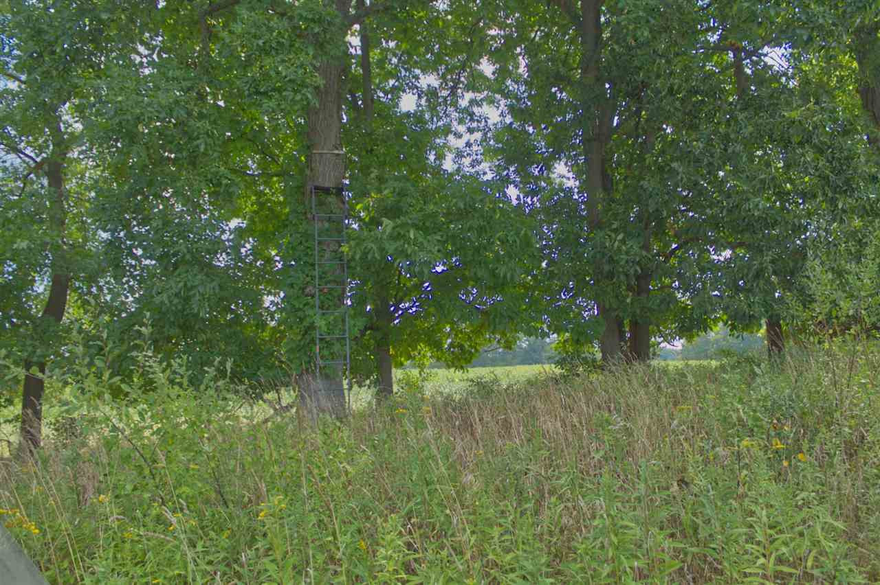 5374 Folks Road Horton, MI 49246 - Photo 39 of 49 Photo 40