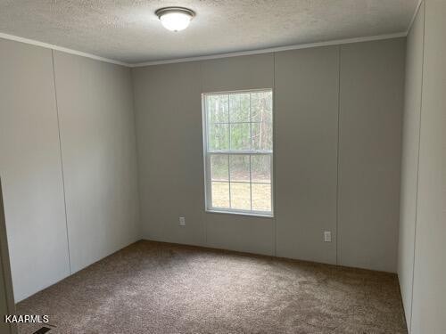 295 Sunshine Road Sequatchie, TN 37374 - Photo 8 of 11