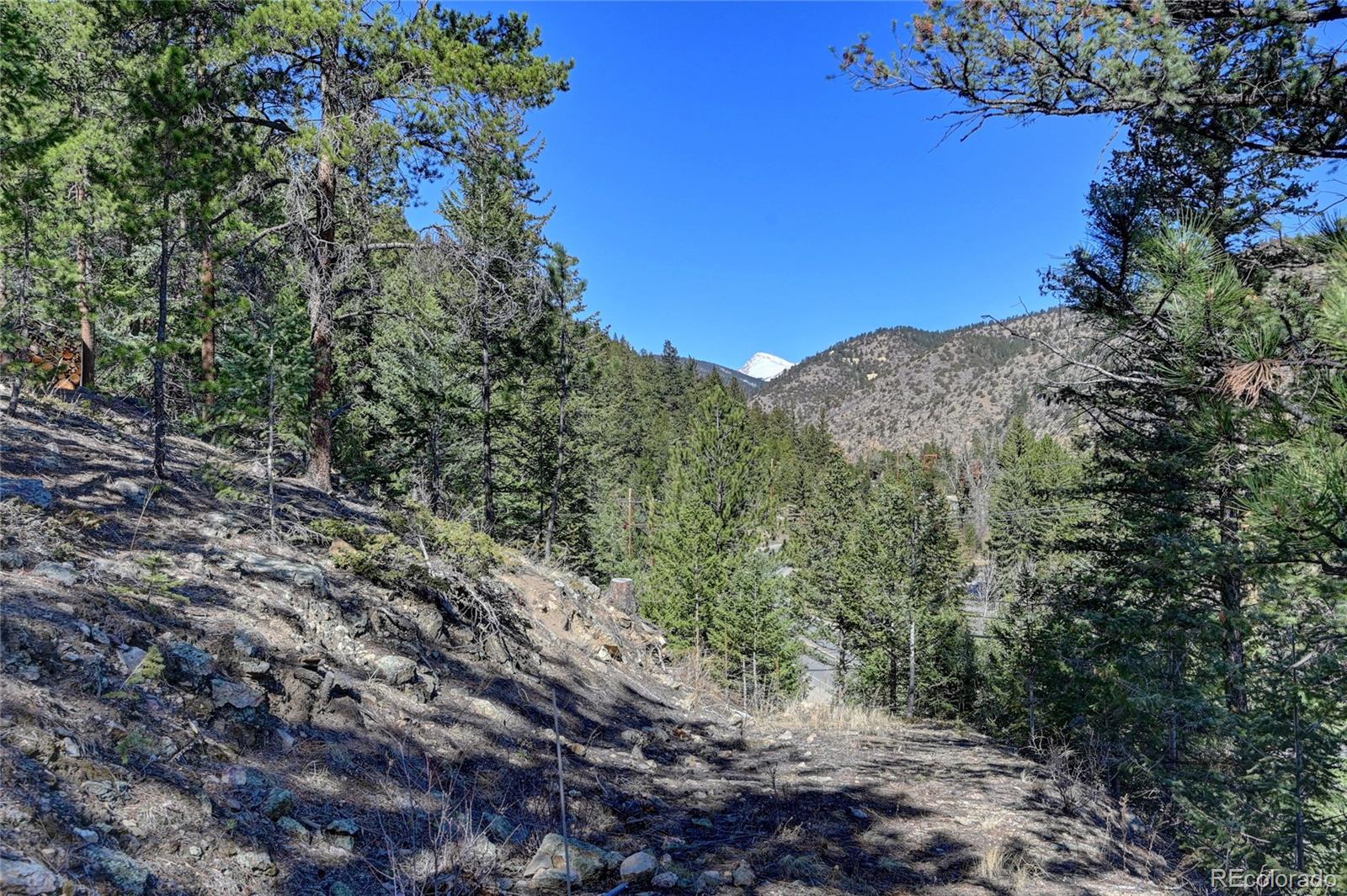 Stanley Road Dumont, CO 80436 - Photo 1 of 22 Gallery Image 1
