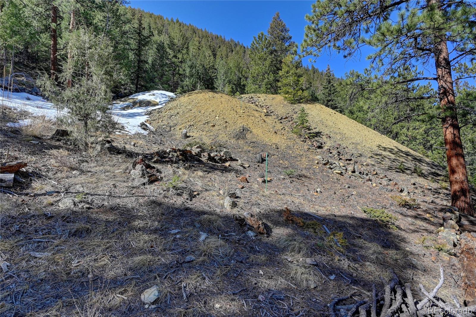 Stanley Road Dumont, CO 80436 - Photo 16 of 22 Gallery Image 16