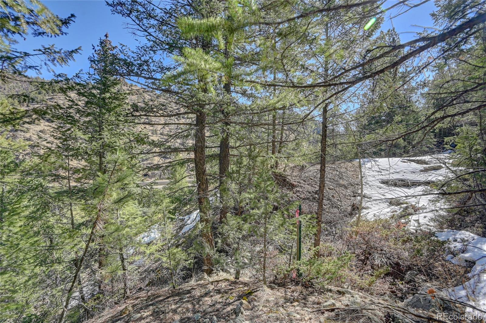 Stanley Road Dumont, CO 80436 - Photo 21 of 22 Gallery Image 21