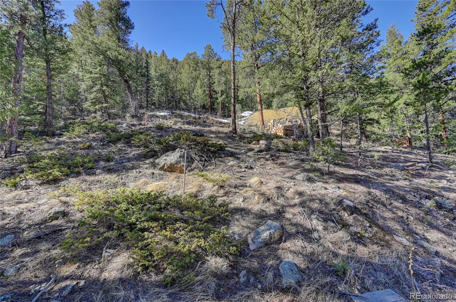 Stanley Road Dumont, CO 80436 - Photo 3 of 22 Gallery Image 3
