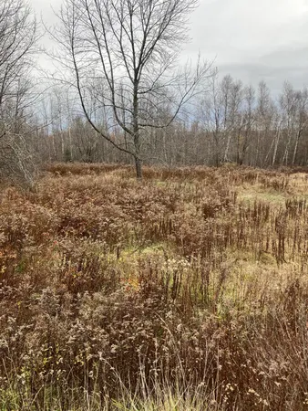 $75,000 | 378 Airline Road, Baileyville, ME 04694