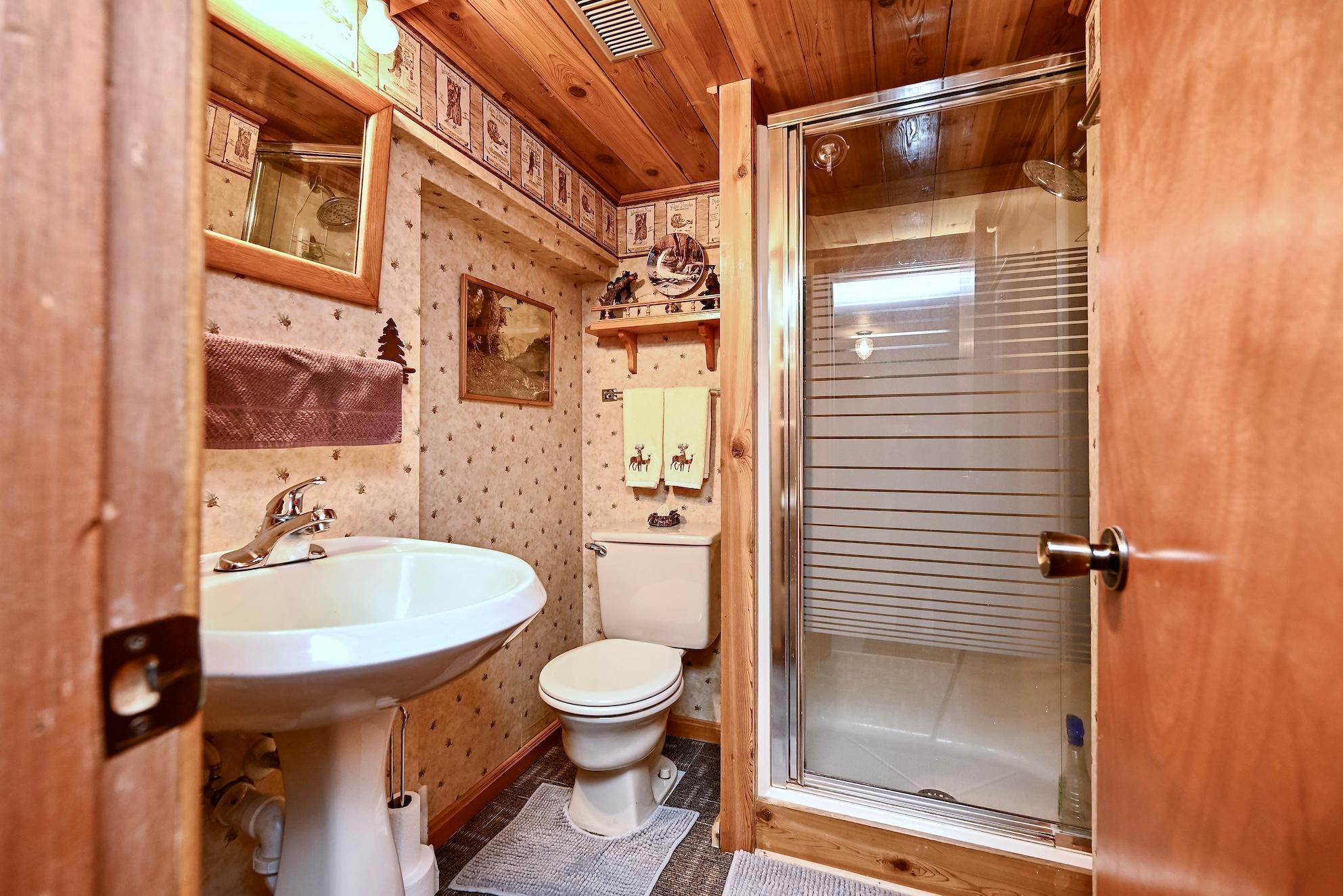 67845 151st Avenue Wabasha, MN 55981 - Photo 21 of 30