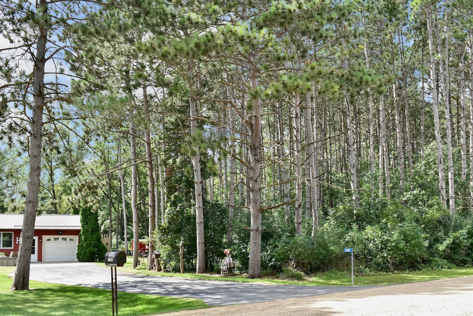 67845 151st Avenue Wabasha, MN 55981 - Photo 28 of 30