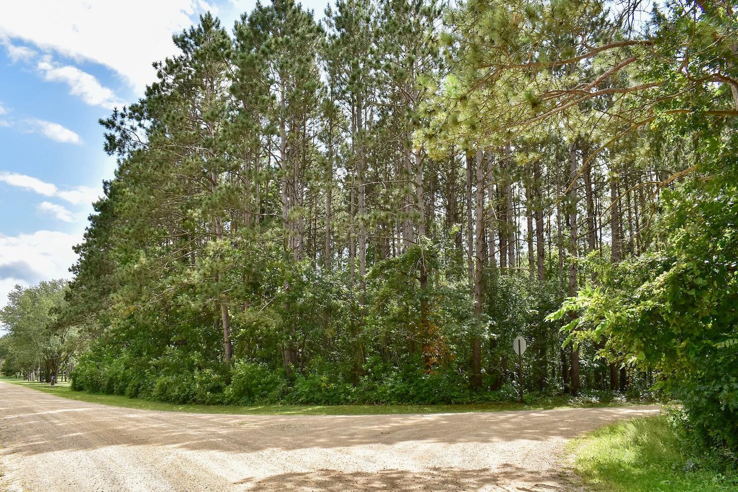 67845 151st Avenue Wabasha, MN 55981 - Photo 29 of 30